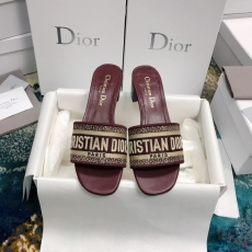 Christian Dior Slippers